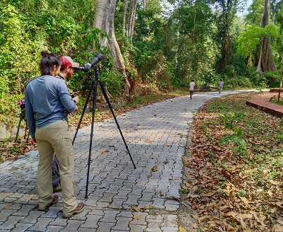 birdwatching in south andaman