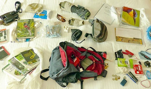 birding essentials