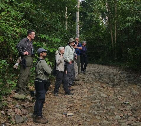 Birdtour asia group